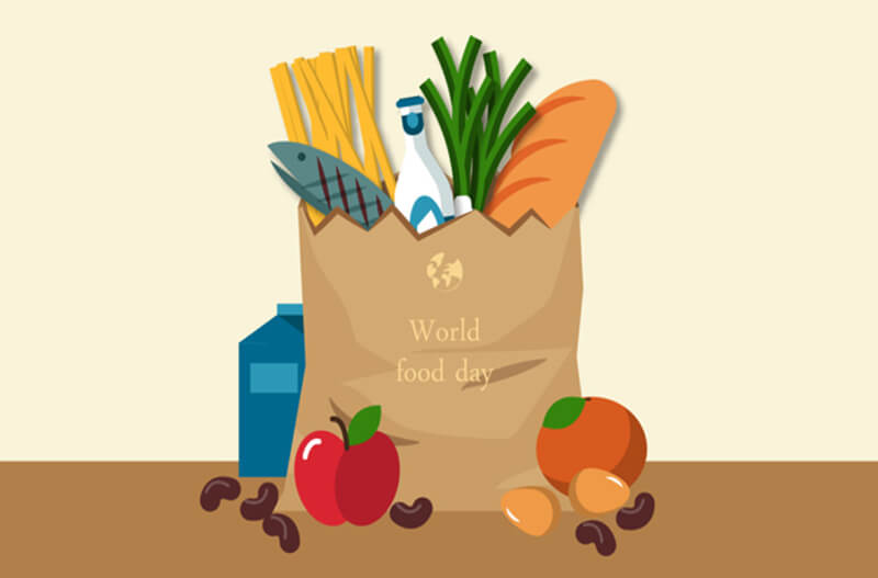 神奇的免费追番工具:Kazumi详细介绍与使用指南