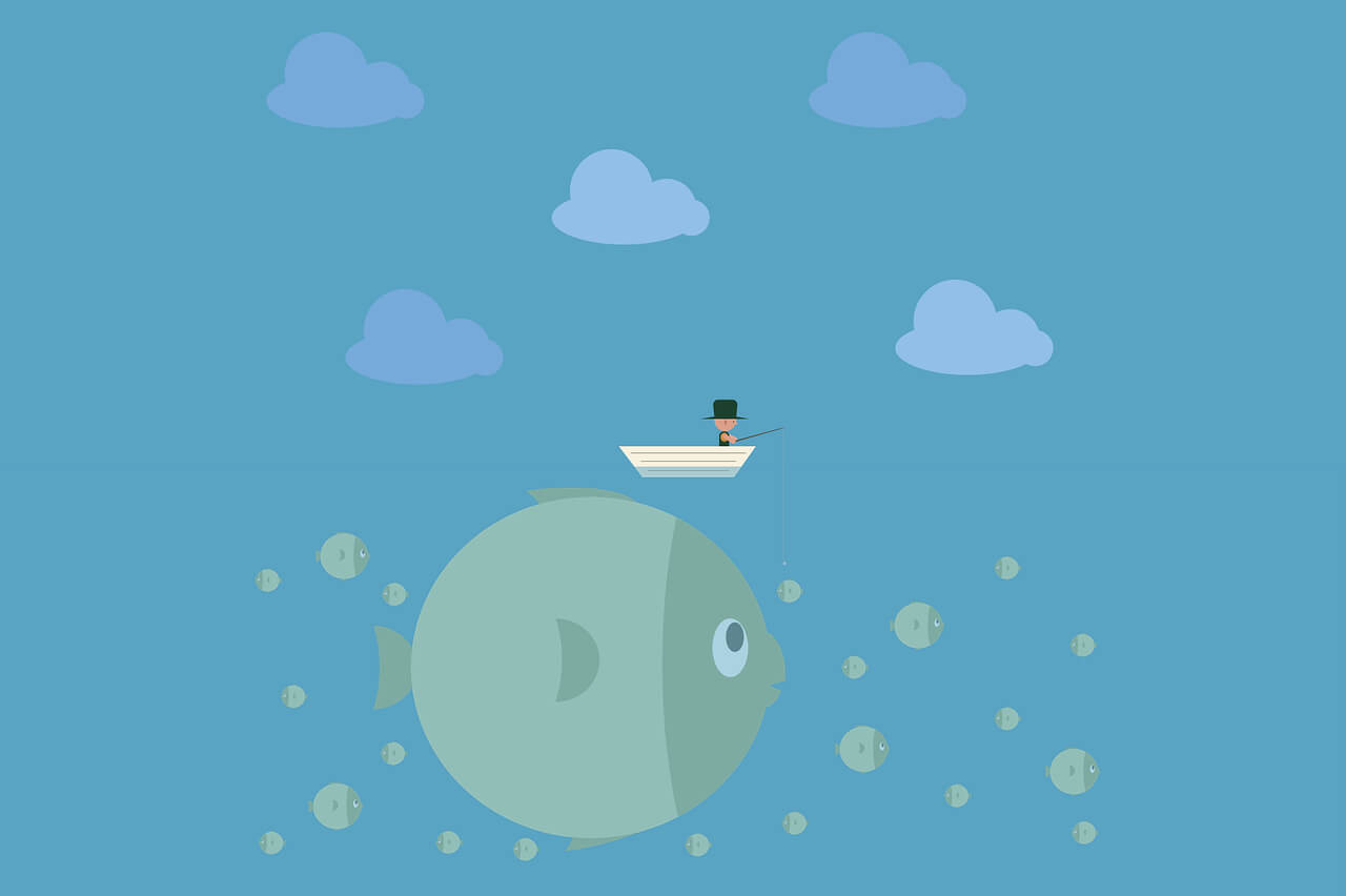 kazumi官方下载最新版-kazumi动漫软件下载v1.9.2安卓版